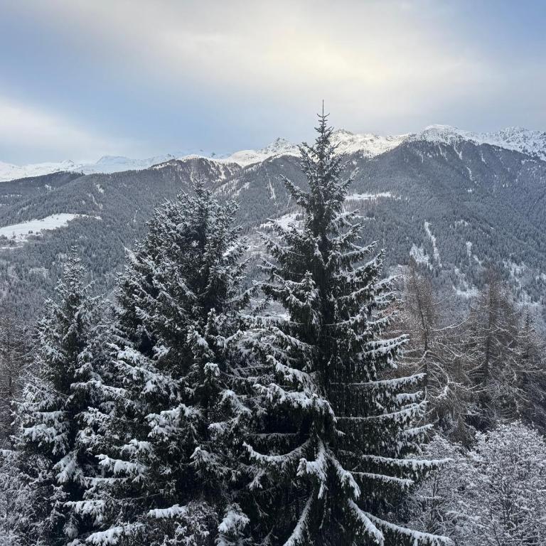 Panorama Marilleva 1400 - Val di Sole - Two-Bedroom Apartment - 85