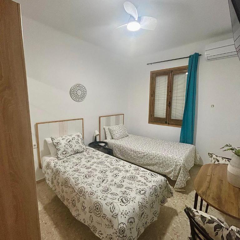 Apartamento Alma - Apartamento de 3 dormitorios - 14