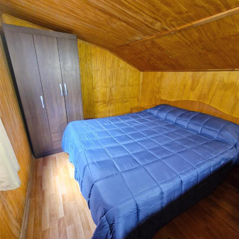 Wildepartamentos Valdivia ER - Apartamento - 5