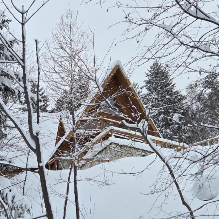 le chalet pointu de capucine - Chalet Supérieur - 48