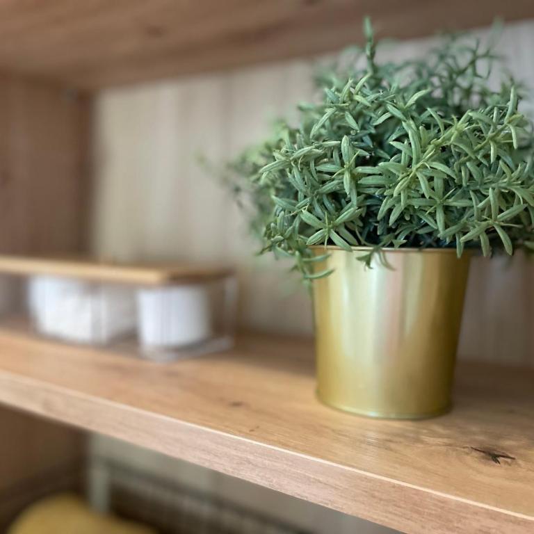 Dolce Vita - One-Bedroom Apartment - 23