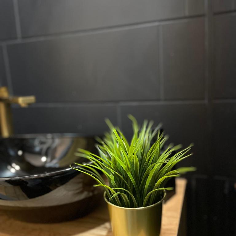 Dolce Vita - One-Bedroom Apartment - 48