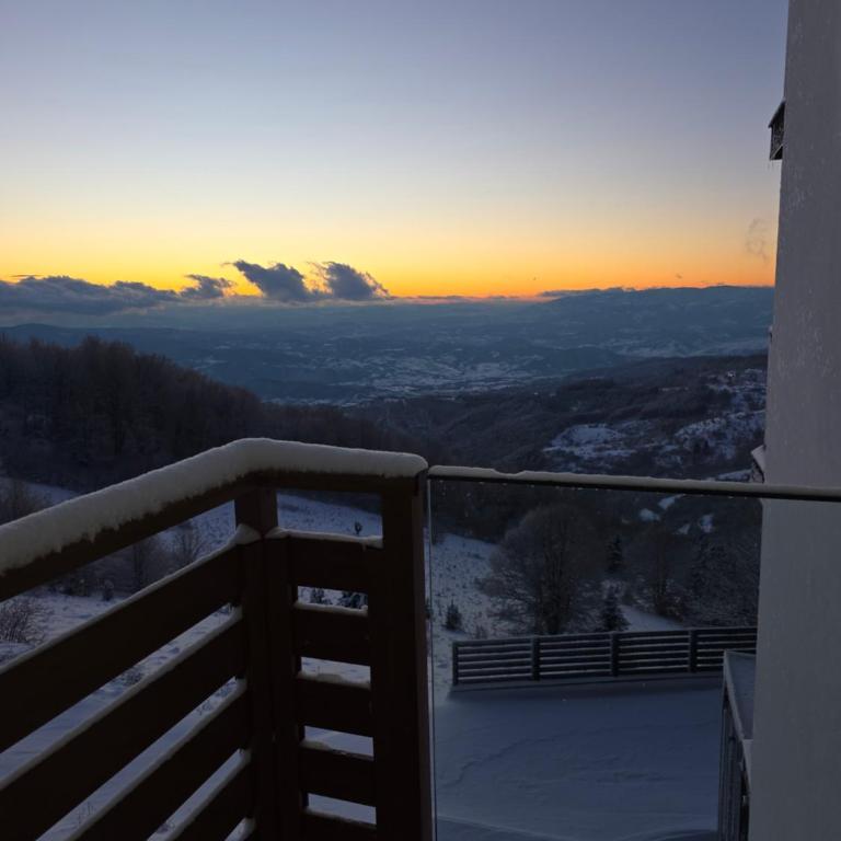 Sky Nest Kopaonik - One-Bedroom Apartment - 9