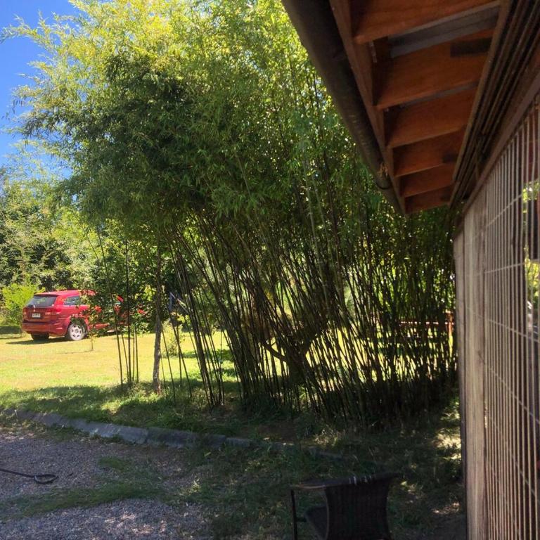 El Humedal del Raco - Three-Bedroom House - 3