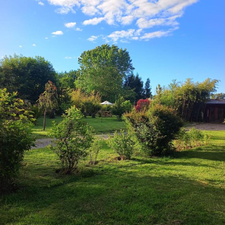 El Humedal del Raco - Three-Bedroom House - 19