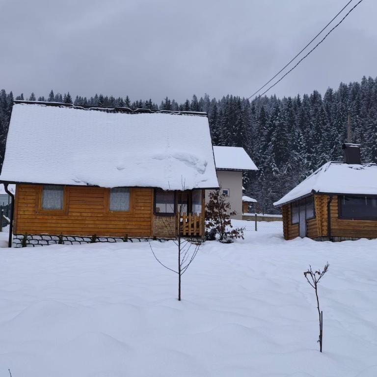 Vikendica-Brvnara Pine - One-Bedroom House - 3