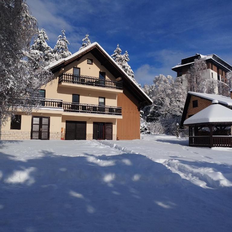 vila Zoran - One-Bedroom Apartment - 2