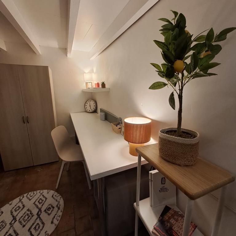 Spacious studio completely renovated right in the city center - Apartamento - 14
