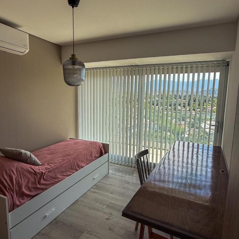 Andean Sky - Mendoza from above - Two-Bedroom Apartment with Balcony - 34