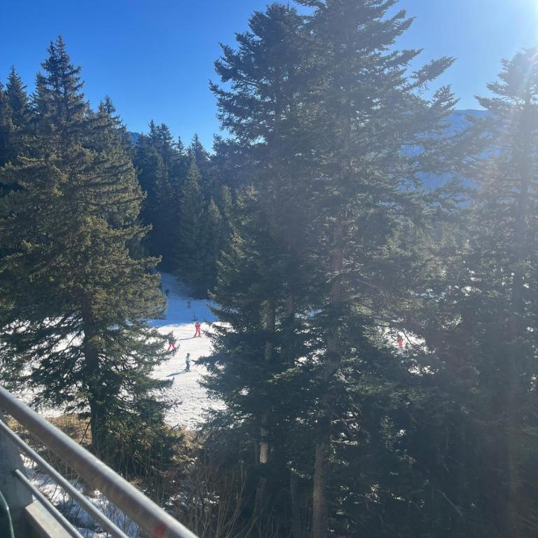 CHAMROUSSE 1750 - L'ECRIN DES NEIGES - 6 Personnes - Appartamento con 2 Camere da Letto - 12