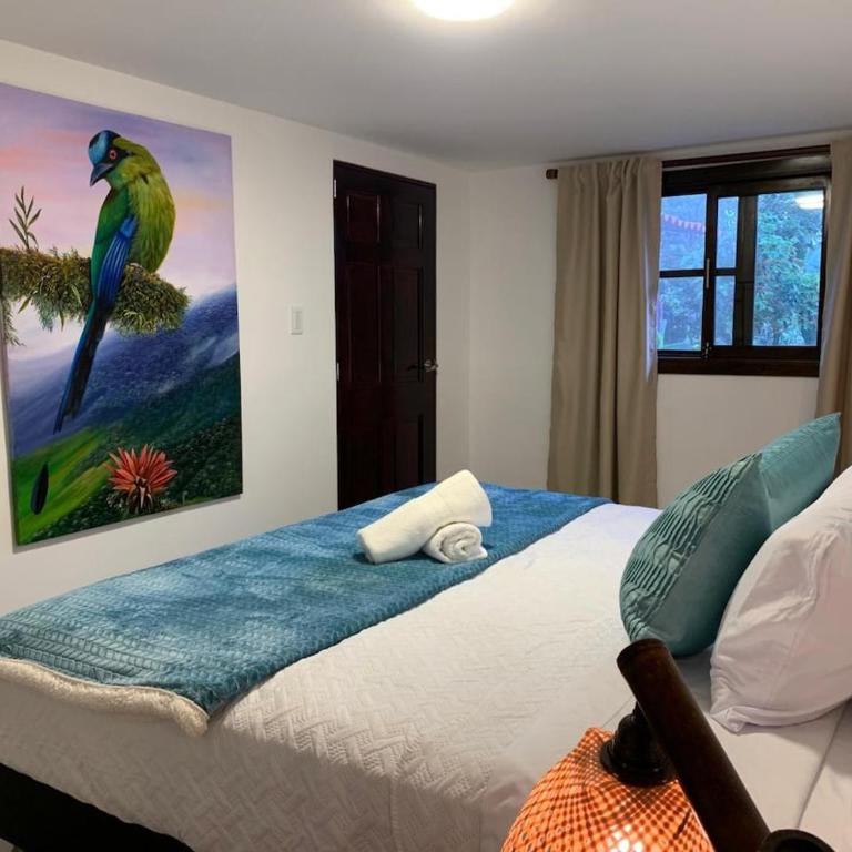 Cabaña el Rosal Filandia, Quindio - Chalet de 1 dormitorio - 10