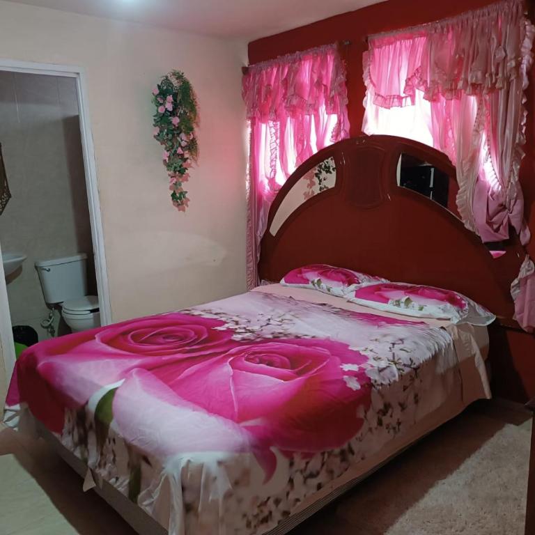Hospedaje Barato Mi Casita de Colores - Budget Double Room - 1