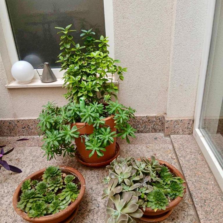 Alma apartments - Two-Bedroom Apartment - 23