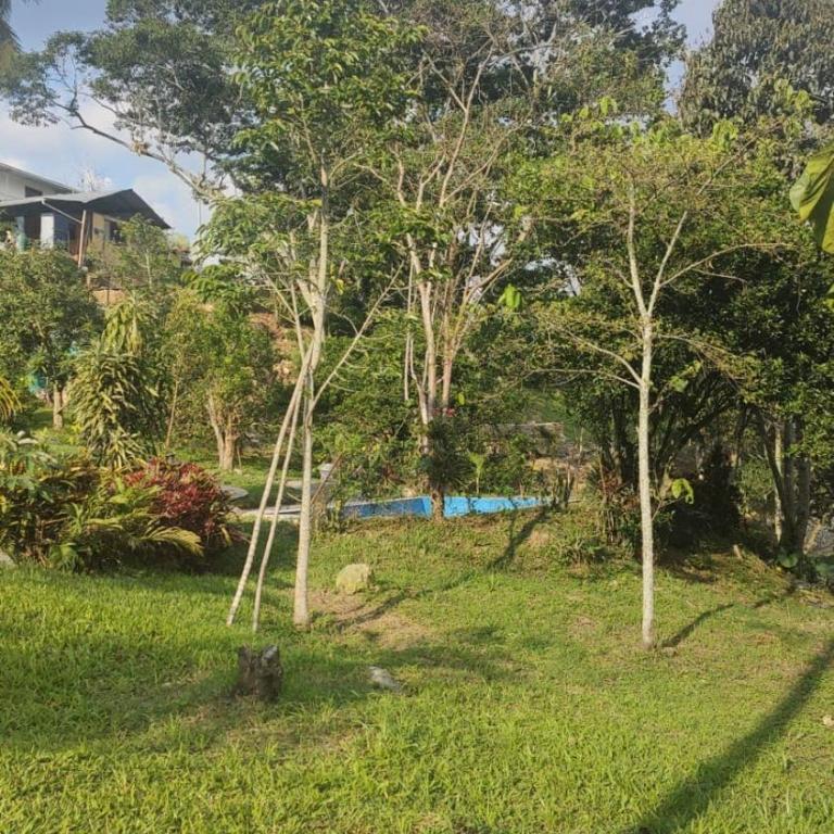 Apto Privado - Quinta Divina Providencia - Two-Bedroom Apartment with Pool View - 56