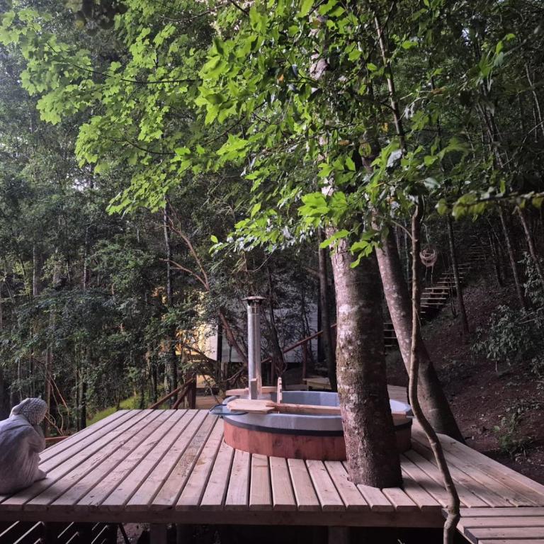 Ecos del Manantial - Chalet - 11