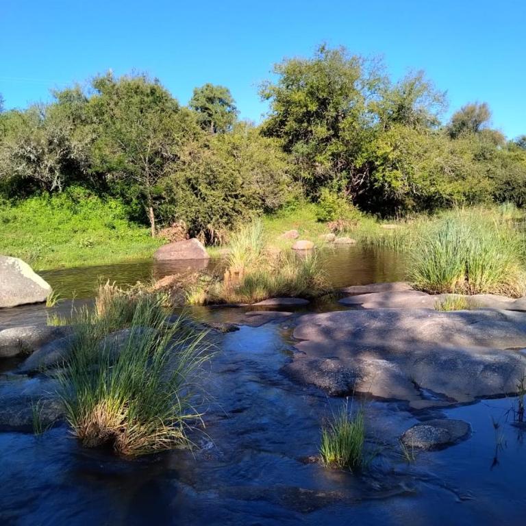 Cabaña Don Americo - One-Bedroom House - 13