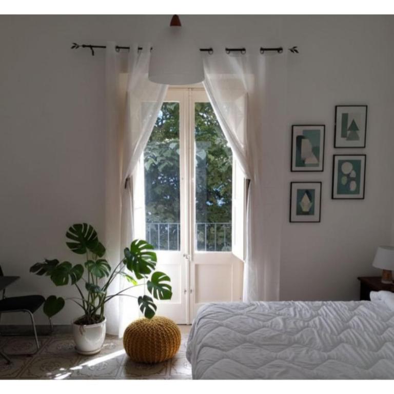 Lilium Lecce Centro - Appartamento - 1
