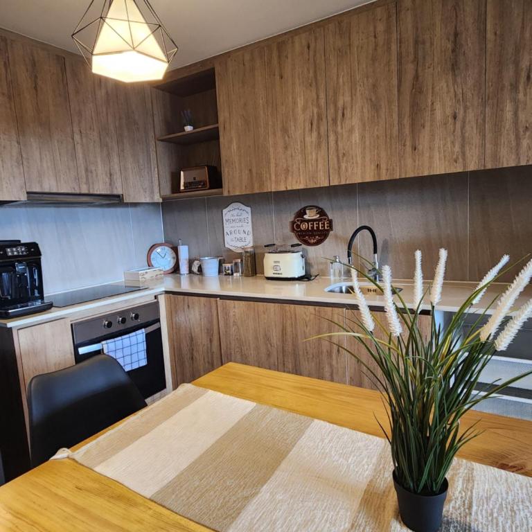 Pewun frente al Lago Villarrica - Apartamento de 3 dormitorios - 6