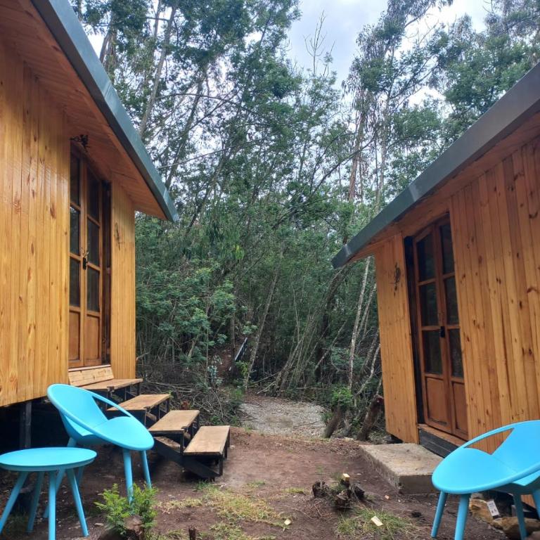 Bosque Venado de Oro - One-Bedroom Chalet - 2