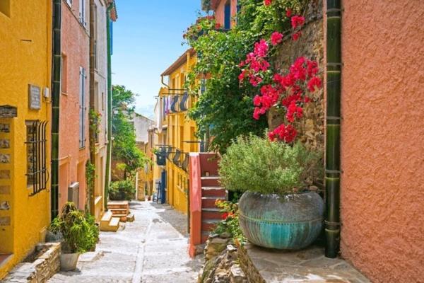 Maison sur les hauteurs de Collioure - Maison 2 Chambres - 17
