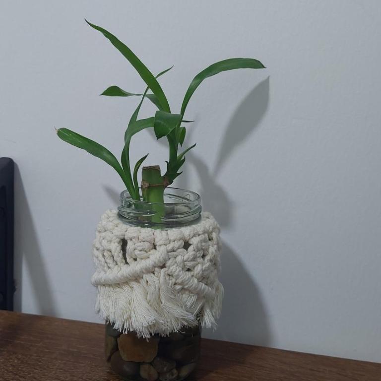 Natural and Family Retreat-Disconect and Reconnect - Apartamento de 3 dormitorios - 25