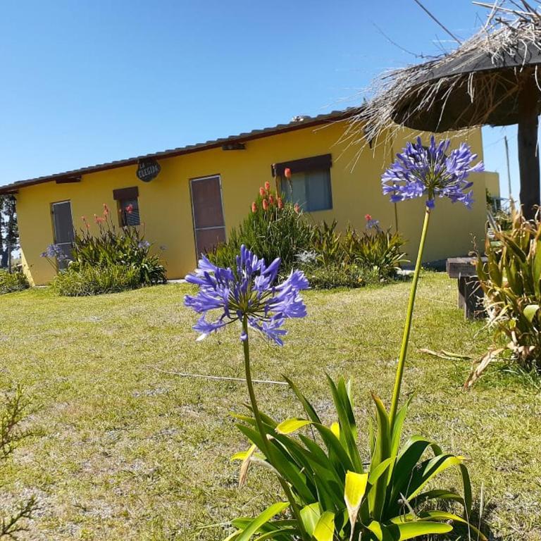 La Elegida alojamiento de playa - Casa con 1 dormitorio - 11