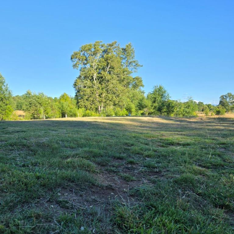 Casa Mediterránea Moderna - Apartamento de 1 dormitorio - 3