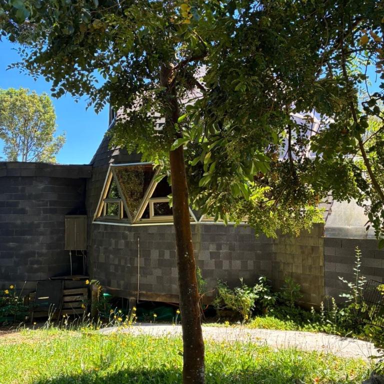 Puerto Varas - Nativa Domo Avellano - Apartamento de 1 dormitorio - 10