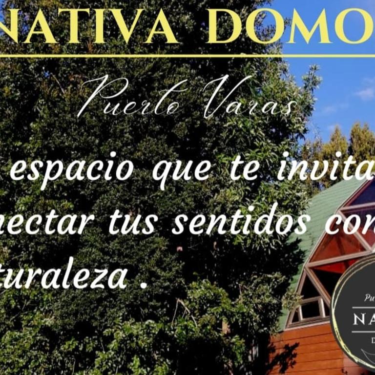 Puerto Varas - Nativa Domo Avellano - Apartamento de 1 dormitorio - 24