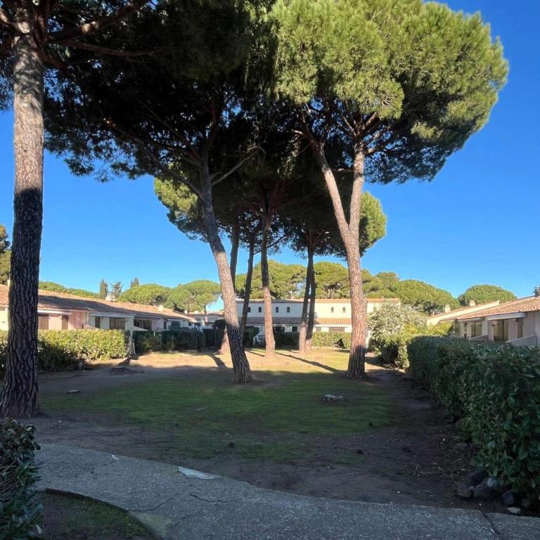 Villa mitoyenne T2 climatisée avec piscine et parking, vue pinède - FR-1-607-237 - Casa - 24