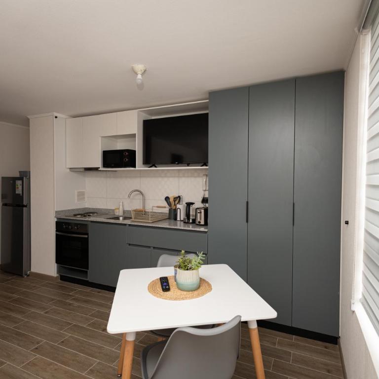 Depto Studio céntrico Full equipo - UDEC Hospital - One-Bedroom Apartment - 7