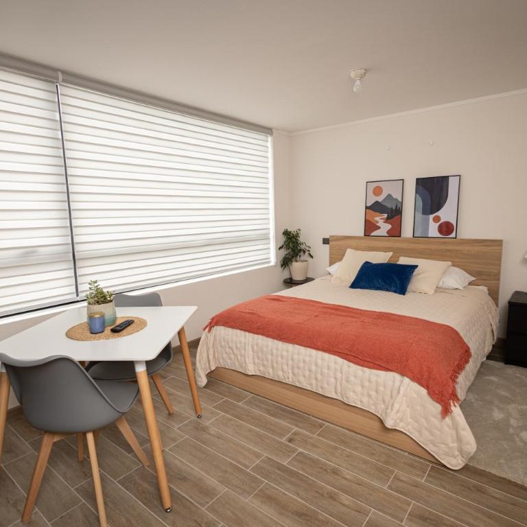Depto Studio céntrico Full equipo - UDEC Hospital - One-Bedroom Apartment - 1