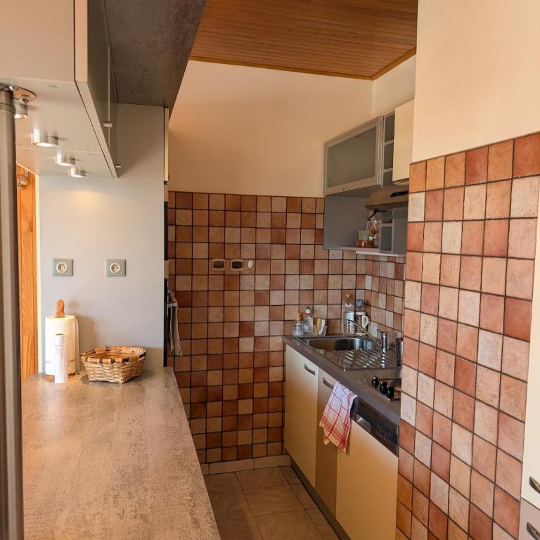 Le Palladium T2 1 chambre à 5mn des pistes avec garage - Appartement 1 Chambre - 13