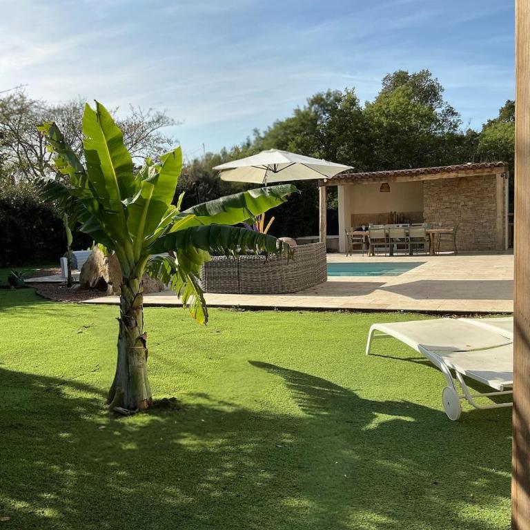 Casa Cantone Private Pools Porto Vecchio - Villa - 22