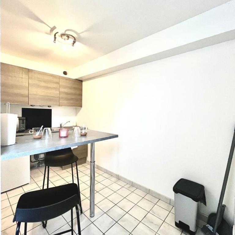 Studio Cosy proche CHU - Appartamento con 1 Camera da Letto - 4