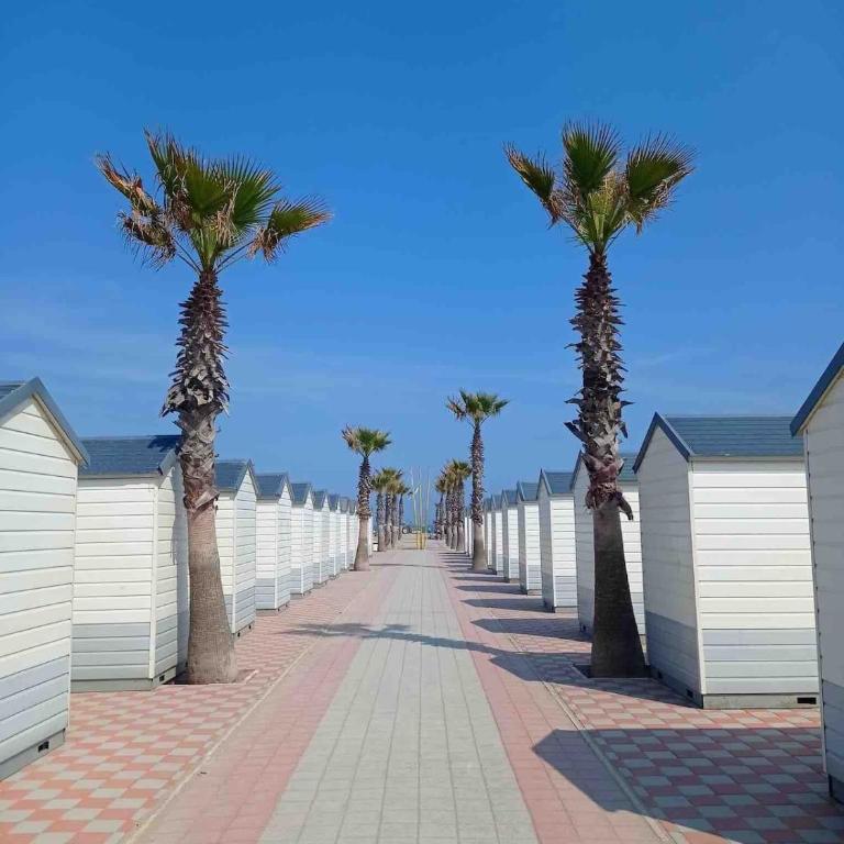 Sottomarina Chioggia center beach - Appartamento - 20