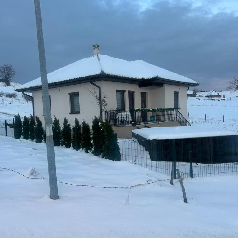 Vikendica Buco Zlatibor - Two-Bedroom House - 19