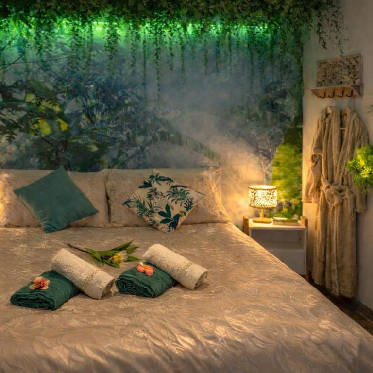 Jungle Spa - Cocon tropical et romantique avec balnéo en plein coeur de Pézenas ! - Appartement 1 Chambre - 2