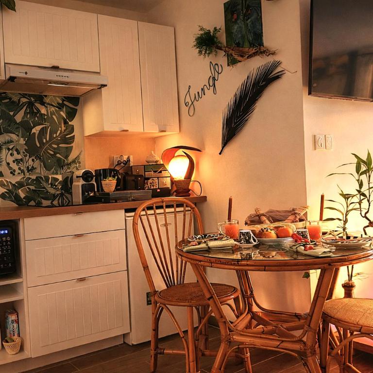 Jungle Spa - Cocon tropical et romantique avec balnéo en plein coeur de Pézenas ! - Appartement 1 Chambre - 25