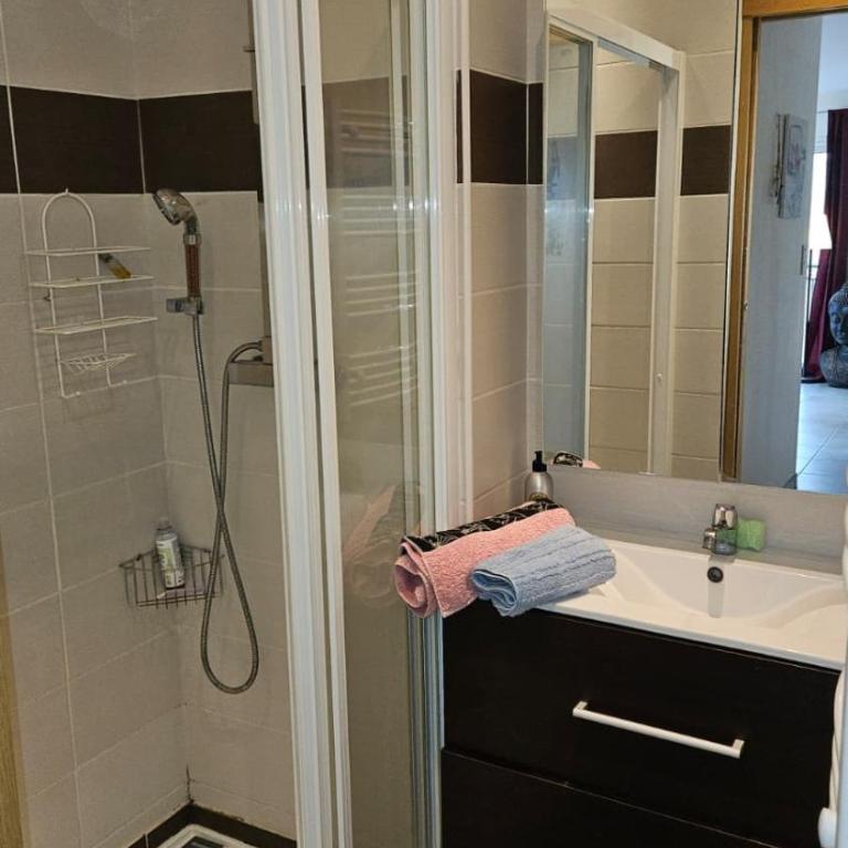 Appartement TURBOT à 100m de la plage - Appartement 2 Chambres - 15