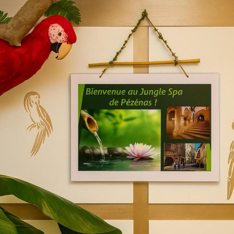 Jungle Spa - Cocon tropical et romantique avec balnéo en plein coeur de Pézenas ! - Appartement 1 Chambre - 27
