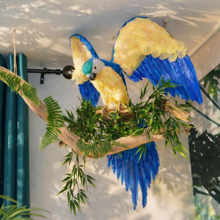 Jungle Spa - Cocon tropical et romantique avec balnéo en plein coeur de Pézenas ! - Appartement 1 Chambre - 13