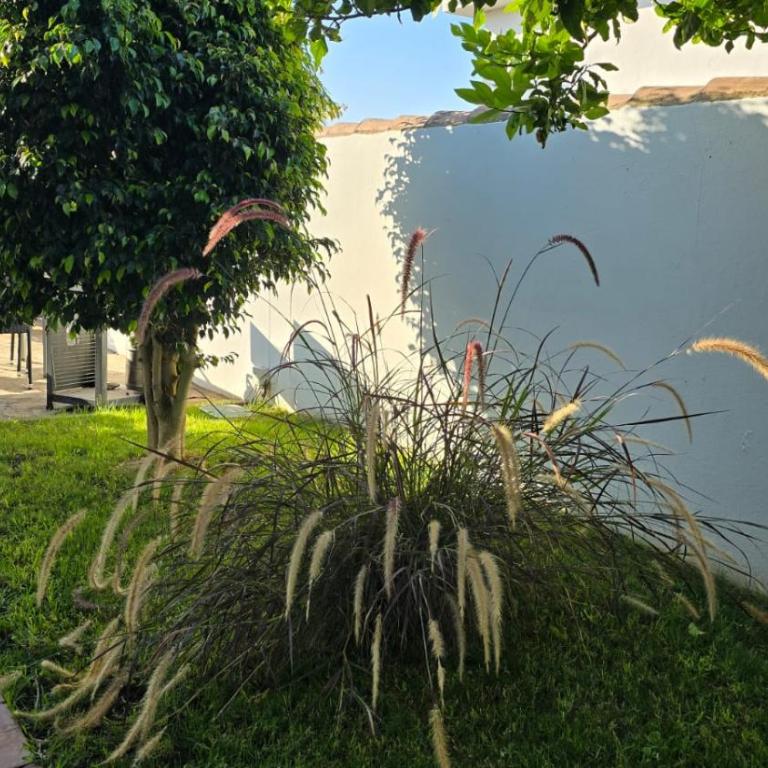 HAPPY HOMES CASA LIMÓN - Premium - Pool - Klimaanlage - WLAN - Villa de 3 dormitorios - 15