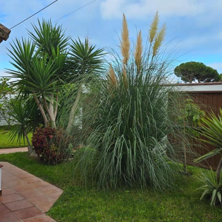 HAPPY HOMES CASA LIMÓN - Premium - Pool - Klimaanlage - WLAN - Villa de 3 dormitorios - 13