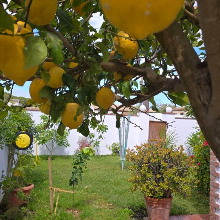 HAPPY HOMES CASA LIMÓN - Premium - Pool - Klimaanlage - WLAN - Villa de 3 dormitorios - 20