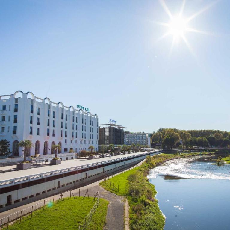 Ô Pti' Dax lumineux, Parking privé, Centre et thermes - Appartement 1 Chambre - 19