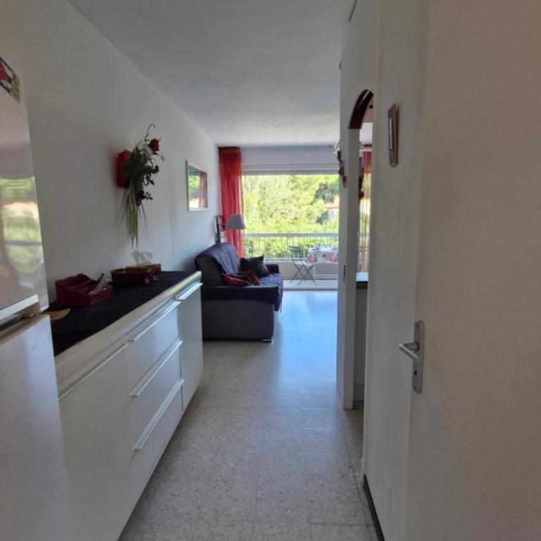O'Paloma - appartement T2 au port - Parking - Terrasse - Apartment mit 1 Schlafzimmer - 7