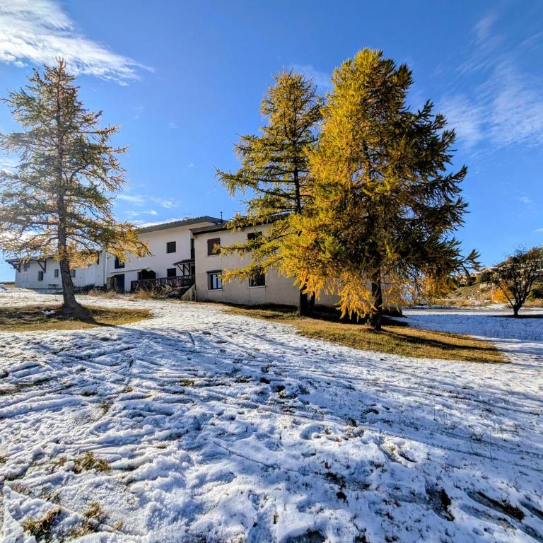 Valberg Les Heures Mauves de Lentasse - Appartamento con 2 Camere da Letto - 23