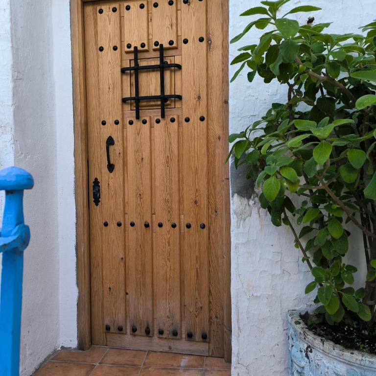 Chiclanero Loft - Apartamento de 1 dormitorio - 2