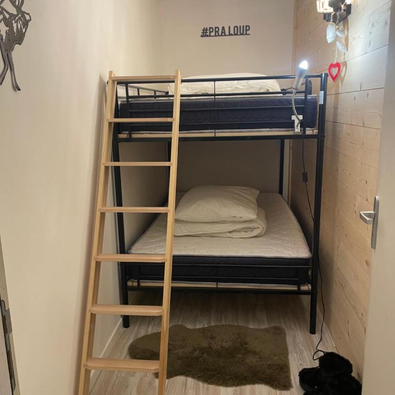 Praloup 1600 t3 sur piste 4p - Appartement 2 Chambres - 27